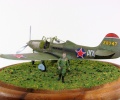 Bell P-39 Airacobra von Thomas Tümpel