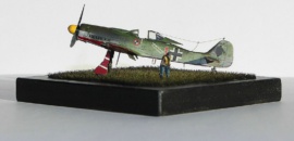 Focke Wolf FW 190D-9 von Björn Leichsenring